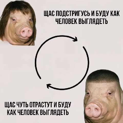 ЩАС ПОДСТРИГУСЬ И БУДУ КАК ЧЕЛОВЕК ВЫГЛЯДЕТЬ ЩАС ЧУТЬ ОТРАСТУТ И БУДУ КАК ЧЕЛОВЕК ВЫГЛЯДЕТЬ