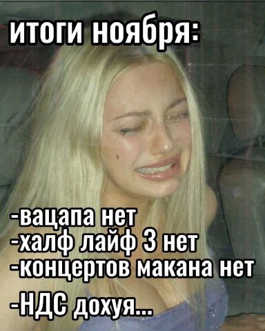 итоги ноября: -вацапа нет -халф лайф 3 нет -концертов макана нет -HAC дохуя...