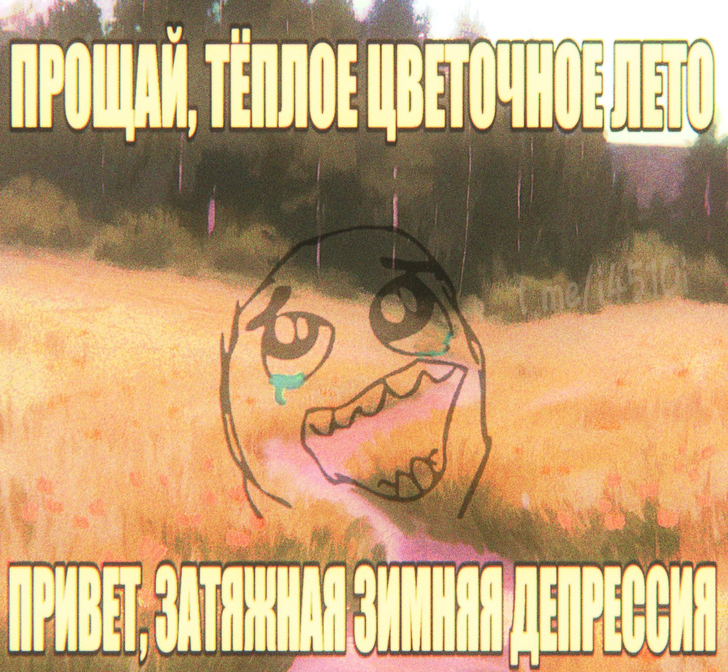Ну наконец-то