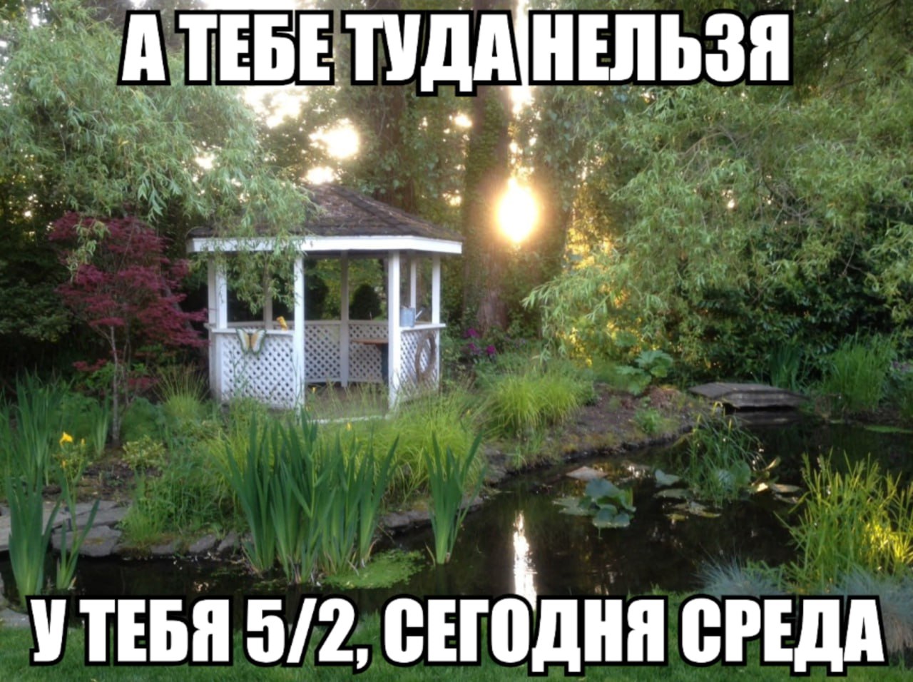 A ТЕБЕТУДАНЕЛЬЗЯ i. УТЕБЯ 5/2, СЕГОДНЯ СРЕДА