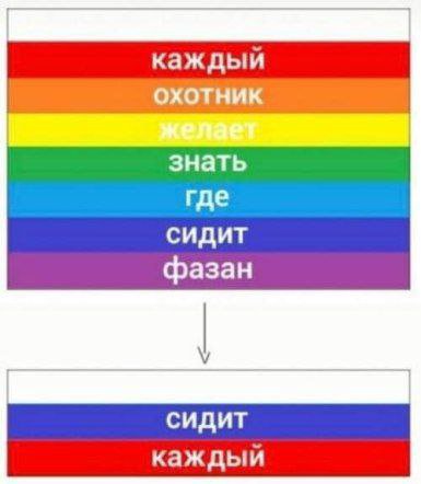 каждый охотник знать где сидит фазан сидит каждый