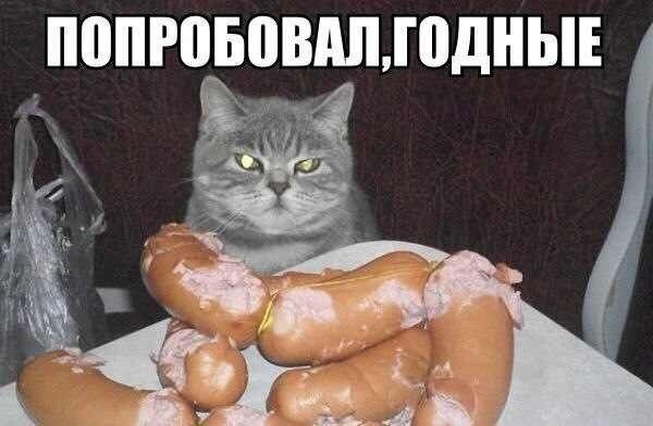 ПОПРОБОВАЛ ГОДНЫЕ 7 4