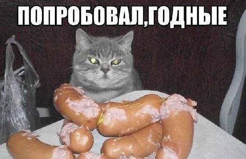 ПОПРОБОВАЛ ГОДНЫЕ 7 4