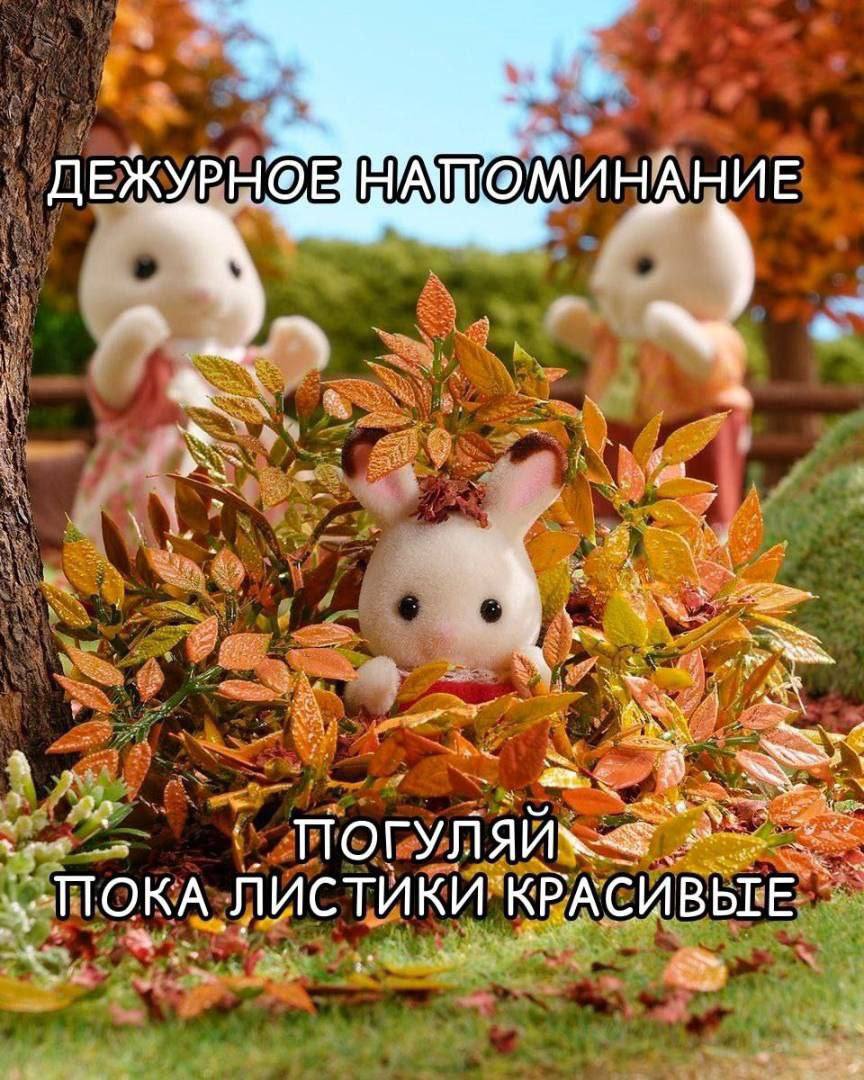 НИЕ ДЕЖУРН@Е 7 aoa 5 ПОКА ЛИСТИКИ 5
