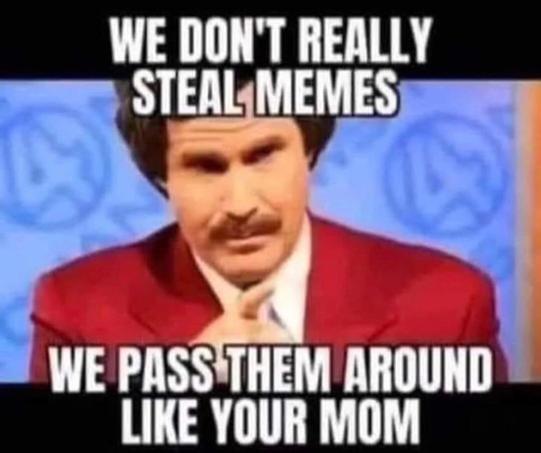 WE DON'T REALLY STEAL MEMES WE AROUND LIKE YOUR MOM