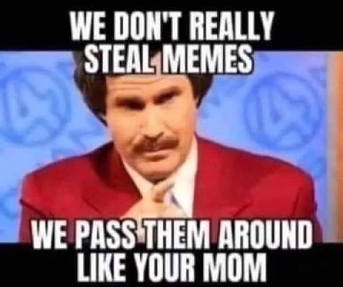 WE DON'T REALLY STEAL MEMES WE AROUND LIKE YOUR MOM