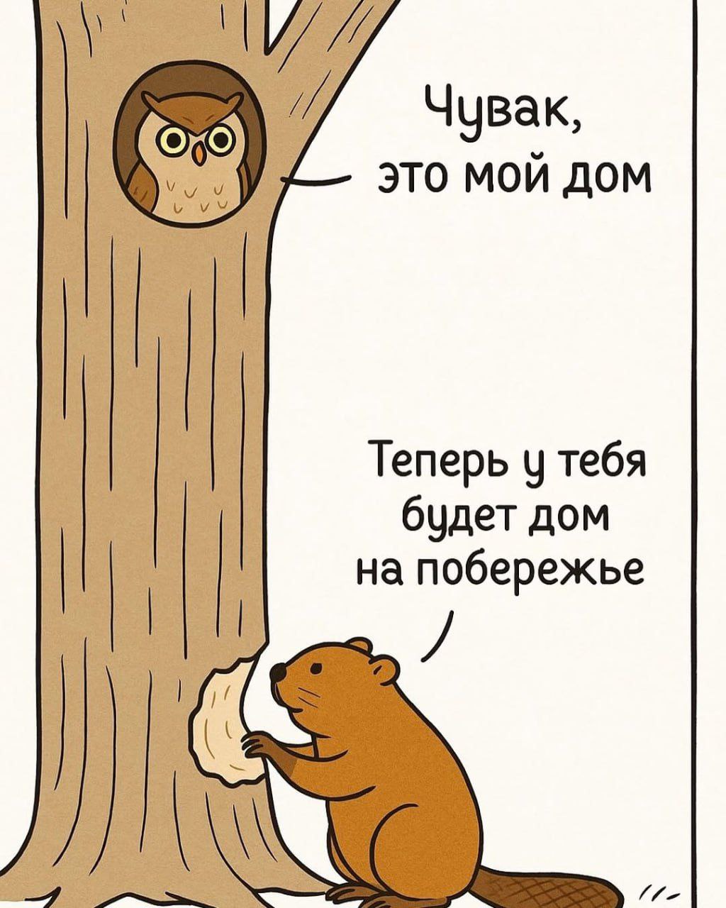 Чувак, 3TO мой ДОМ Теперь тебя будет дом на побережье