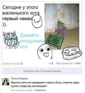 у этого маленького кот первый Hama Я 3 минут Мне нравится 404 Показать все 15 комментариев Луиза Рошаль Идиоты: коты не совершают буду спамить вашу груплу твари вы три минуты! Ответить