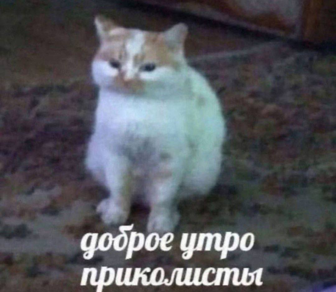 доброе утро приколисты