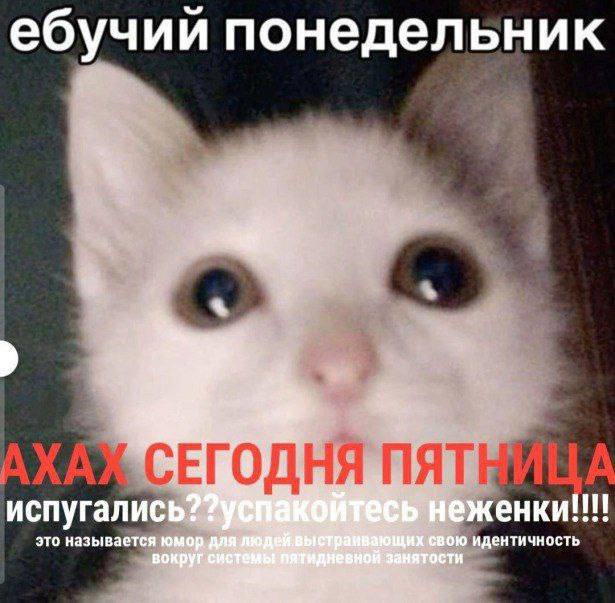 ебучии понедельник испугались? идентичность это называется юмор. о у ост