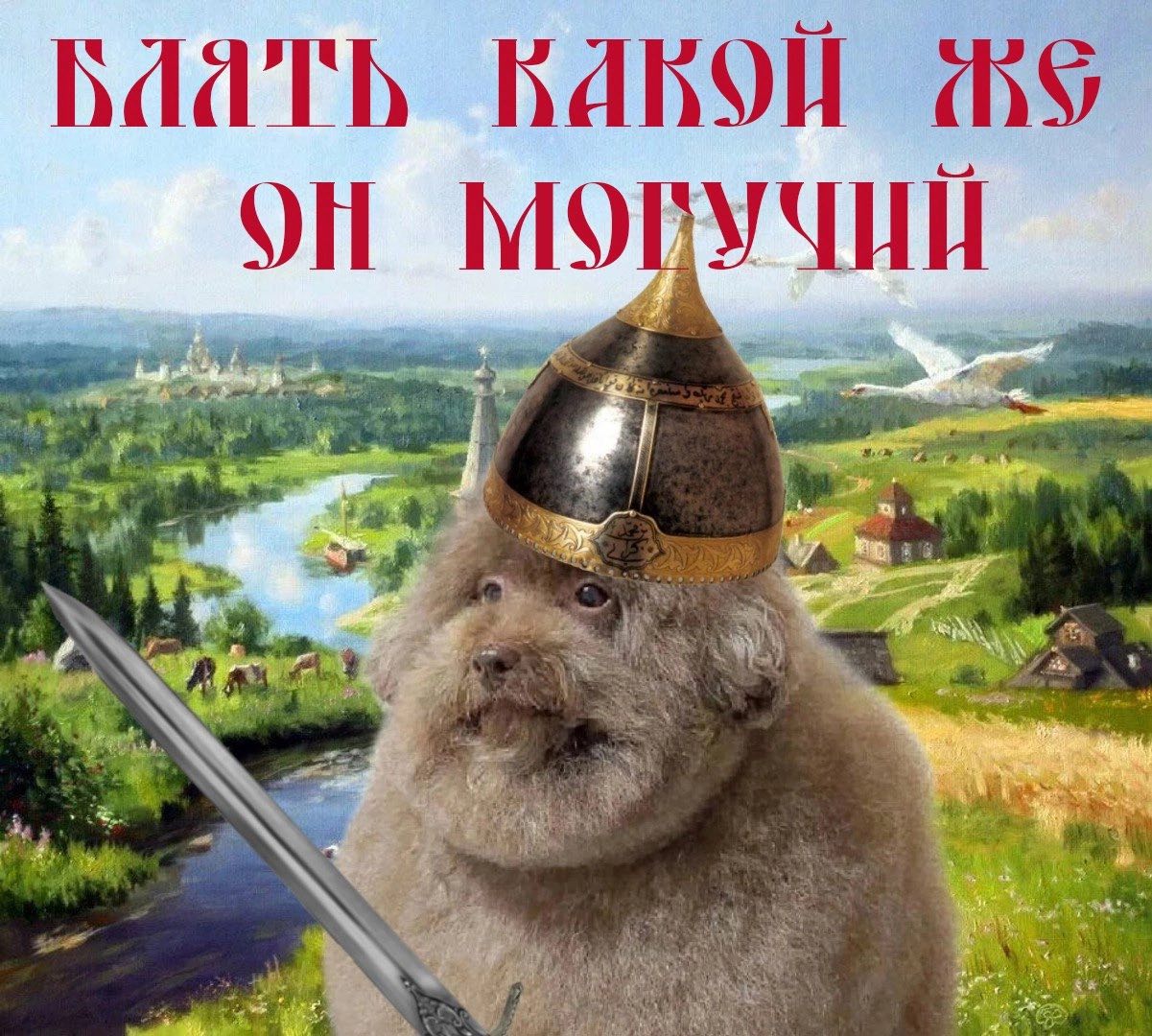 В Oil a
