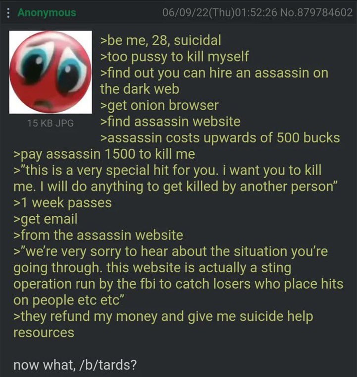 06/09/22(Thu)01:52:26 No.879784602 >be me, 28, suicidal >too pussy to kill myself >find out you can hire an assassin on the dark web >get onion browser 15 JPG >find assassin website >assassin costs up