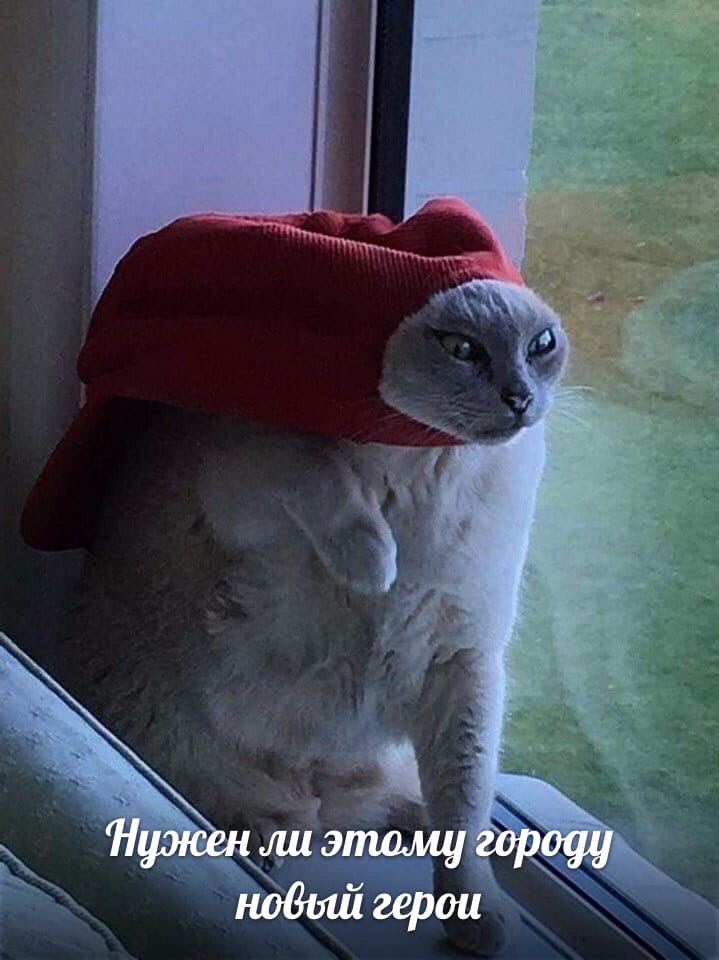 Пужен ли этому городу новый герои