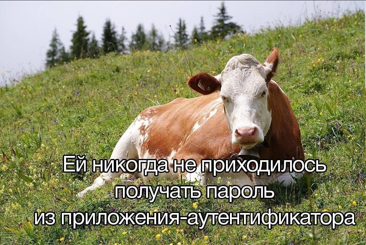 LTA if 2 ‘A as НИ or oF, a ins чать пароль приложения аутенти икатора. or