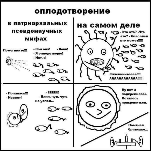 оплодотворение в патриархальных на самом деле псевдонаучных -С>- Кто это? -Что это? Спасайся мифах кто Вон она! Лови! A оплодотворю! Нет, я! Gone Спасиииитееее!! Нувоти Блин, чуть-чуть EEEEE! подкрепи