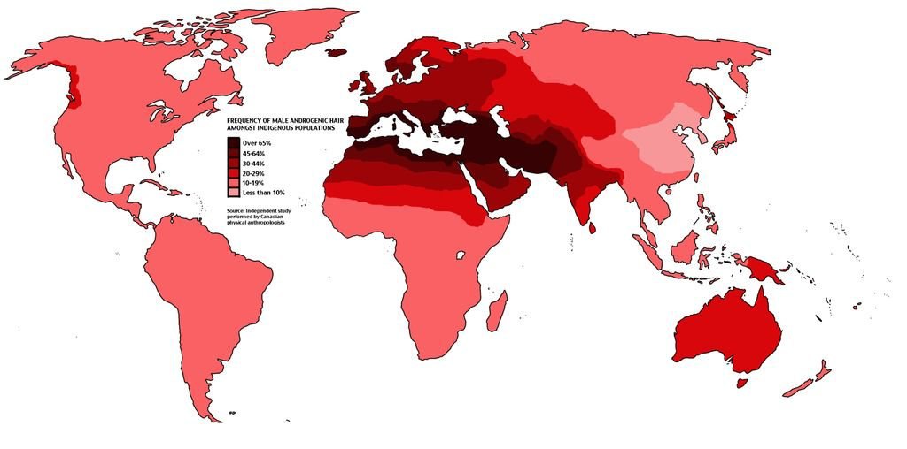 FREQUENCY OF MALE ANDROGENIC HAIR POPULATIONS Over 65% 20-29% Less than 10%