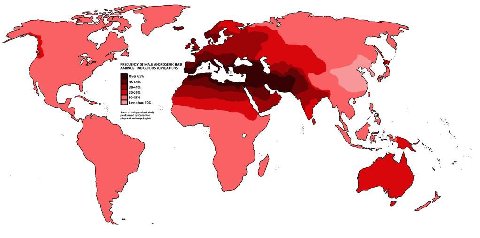 FREQUENCY OF MALE ANDROGENIC HAIR POPULATIONS Over 65% 20-29% Less than 10%