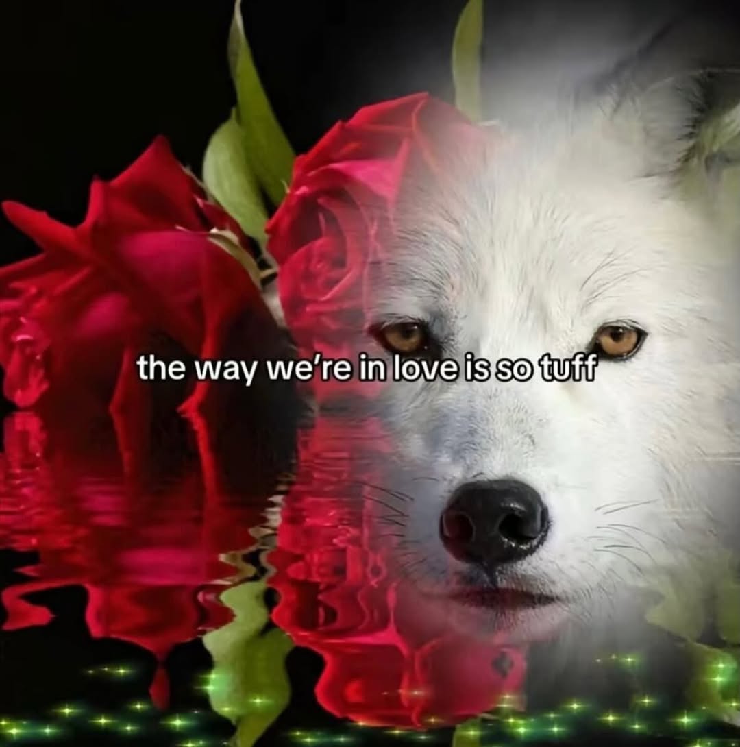 the way we're in