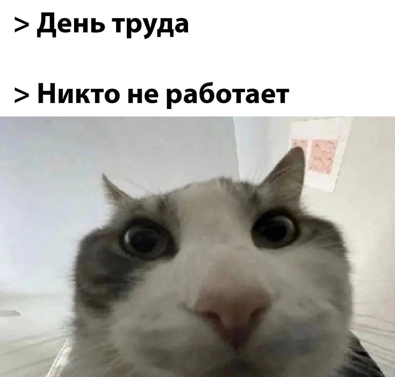 День труда Никто не работает