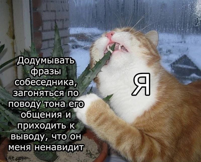 Додумывать фразы собеседника, загоняться по поводу тона епо общения и приходить к выводу, что он меня ненавидит