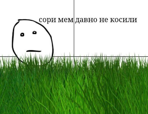 сори мем давно не косили
