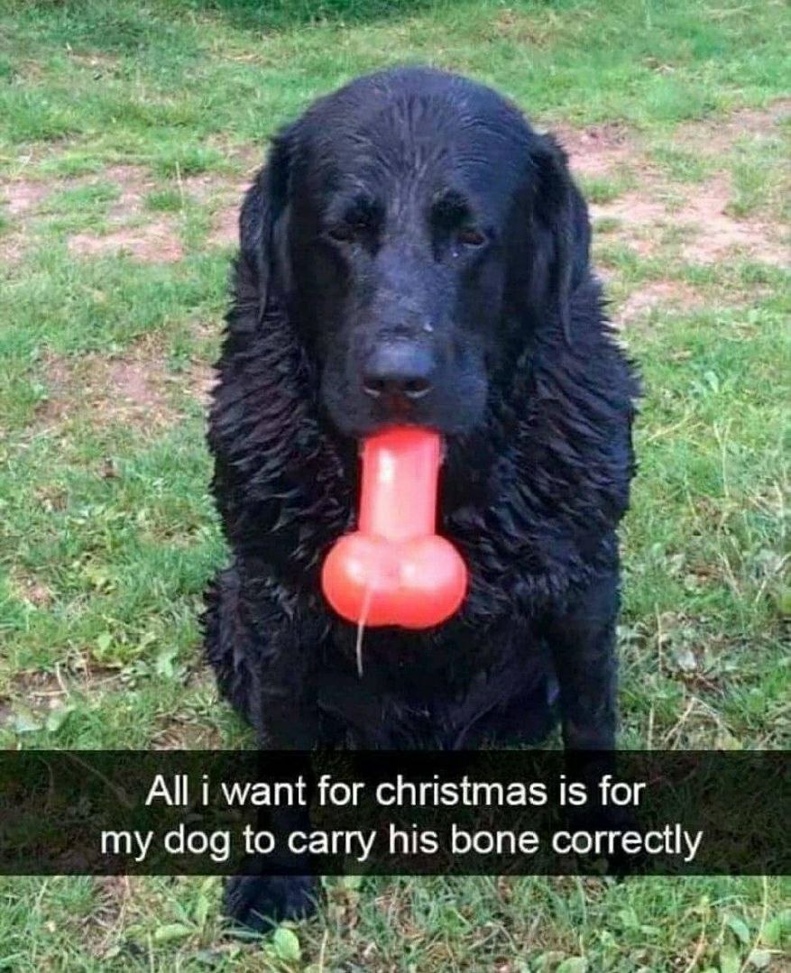 we „1 7 be 5» а К. сре 2 A All i want for christmas 1$ for my dog to carry his bone correctly №2 у MAT В У,