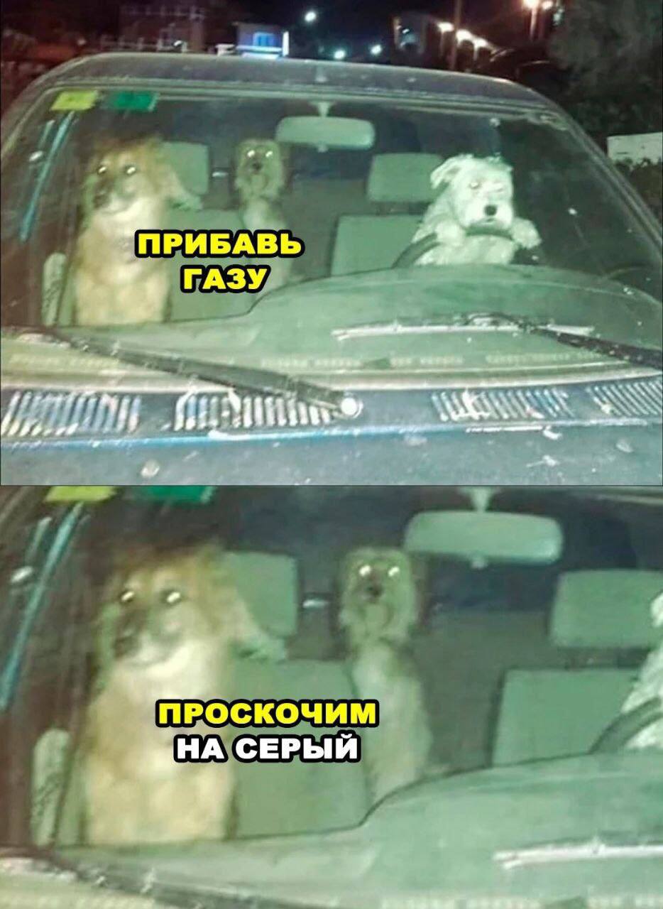 ПРИБАВЬ ГАЗУ ПРОСКОЧИМ НА СЕРЫЙ