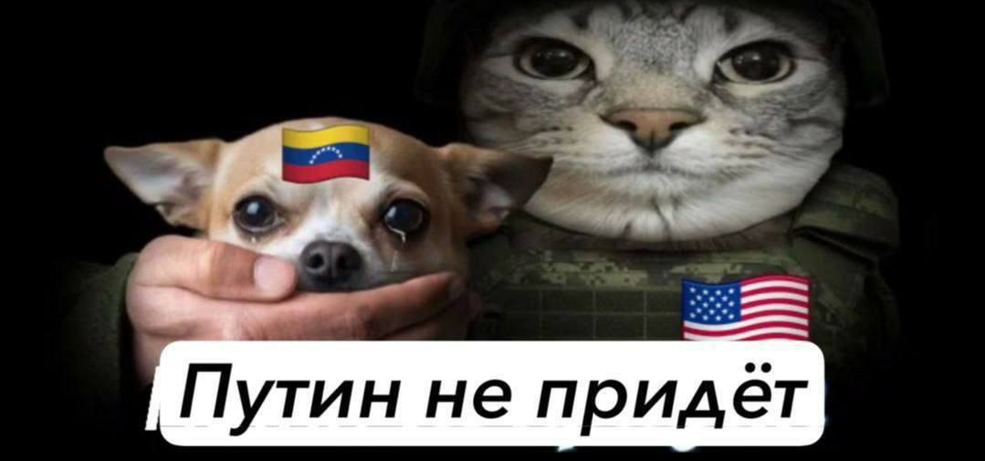 Путин не придет