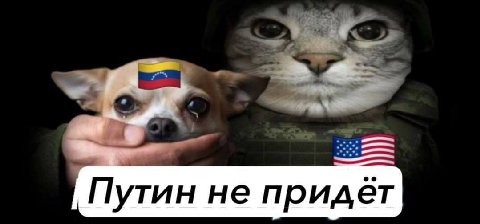 Путин не придет