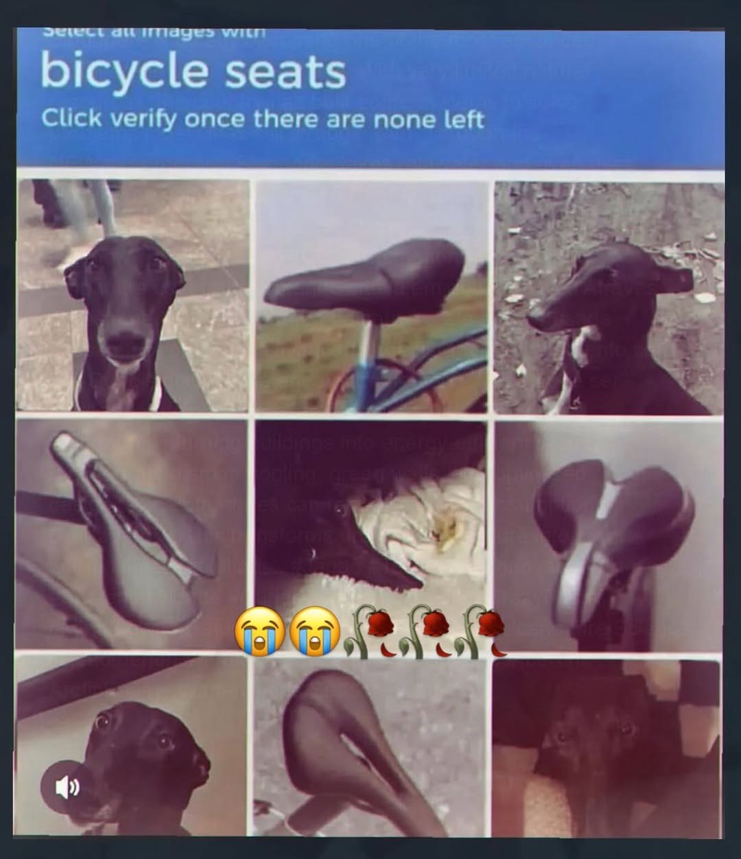 bicycle seats Click verify once there are none left