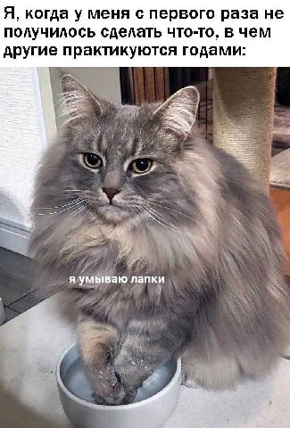 Я, когда у меня с первого раза не получилось сделать что-то, в чем другие практикуются годами: я умываю лапки