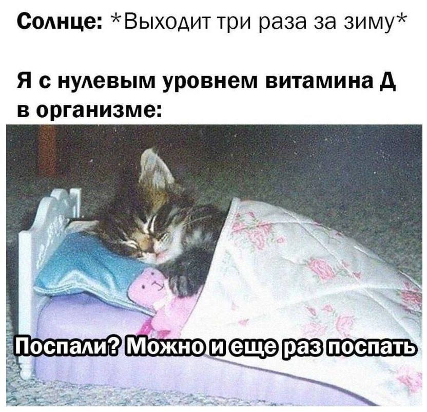 Солнце: *Выходит три раза за зиму* Я с нулевым уровнем витамина A в организме: 7 \Поспали?