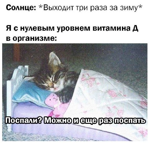 Солнце: *Выходит три раза за зиму* Я с нулевым уровнем витамина A в организме: 7 \Поспали?