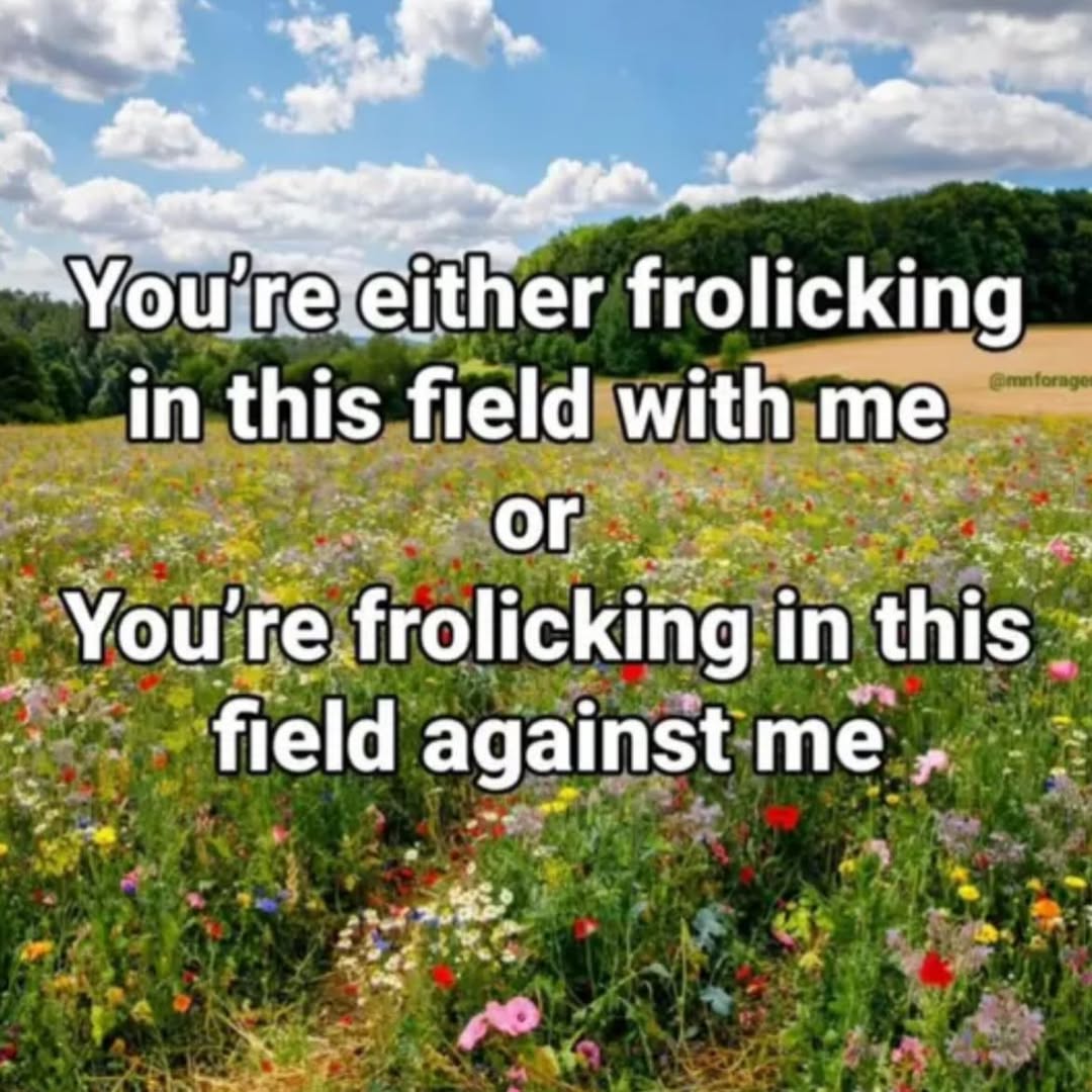 frolicking in this Неа with me frolicking in this