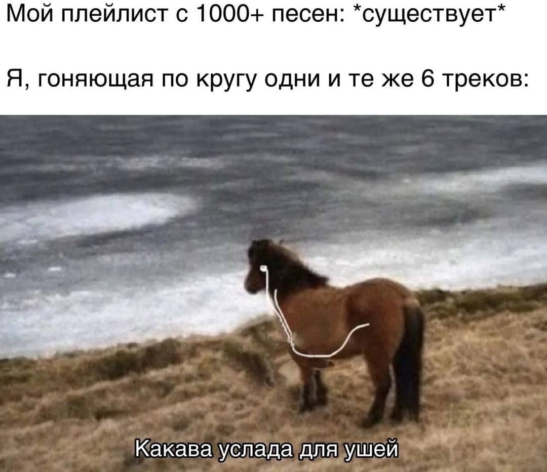 Мой плейлист с 1000- песен: *существует* Я, гоняющая по кругу одни и же 6 треков: Какава услада для ушей