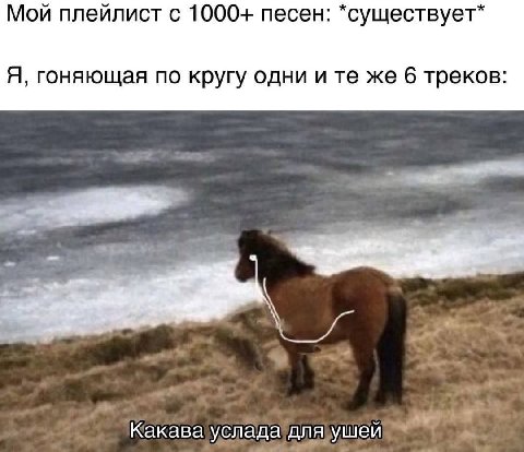 Мой плейлист с 1000- песен: *существует* Я, гоняющая по кругу одни и же 6 треков: Какава услада для ушей