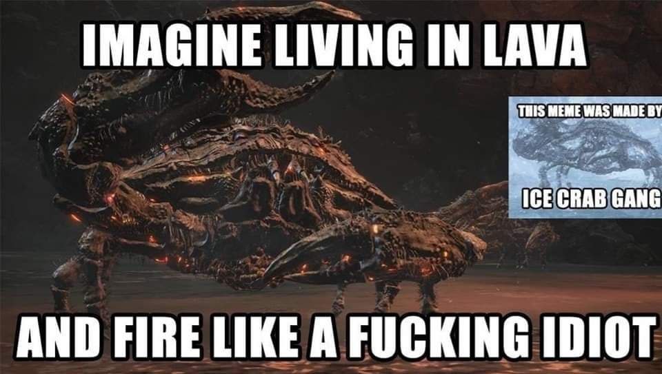 IMAGINE LIVING IN LAVA THIS MEME WAS MABE AND FIRE LIKE A FUCKING IDIOT