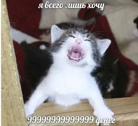 я всего лишь хочу 99999999999999 дене