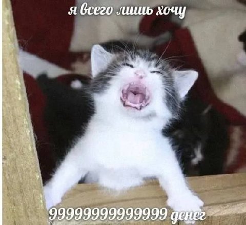 я всего лишь хочу 99999999999999 дене