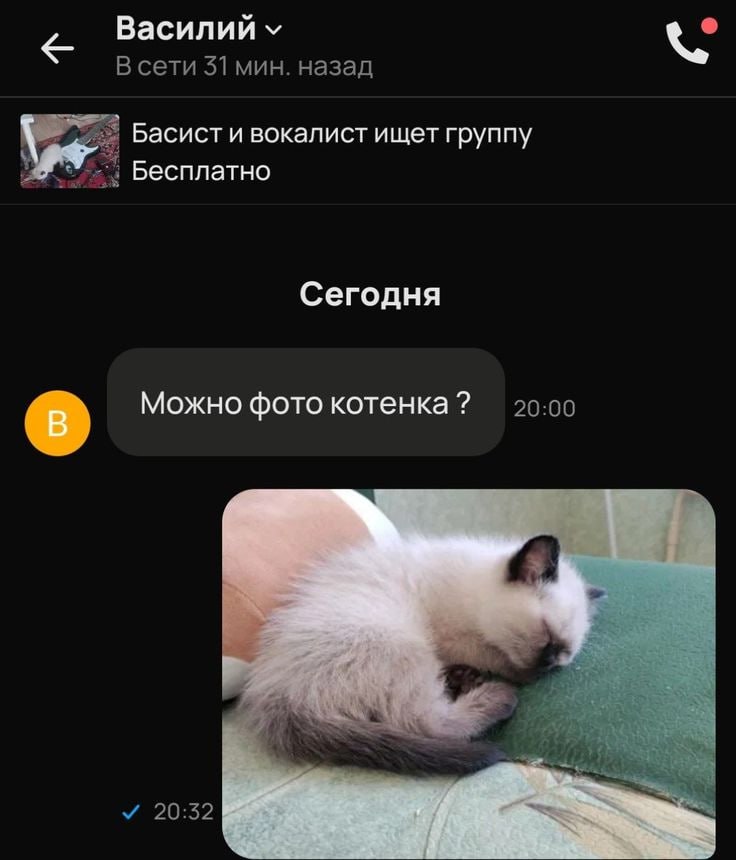 Василийх В сети 31 мин. назад Басист и вокалист ищет группу Бесплатно Сегодня Можно фото котенка 3 и 20:32