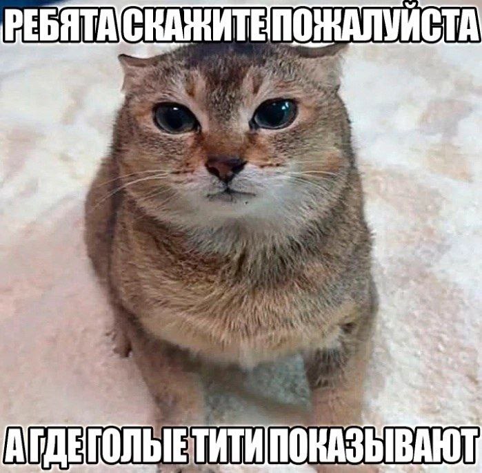 7 is к 3 ПОКАЗЫВАЮТ a