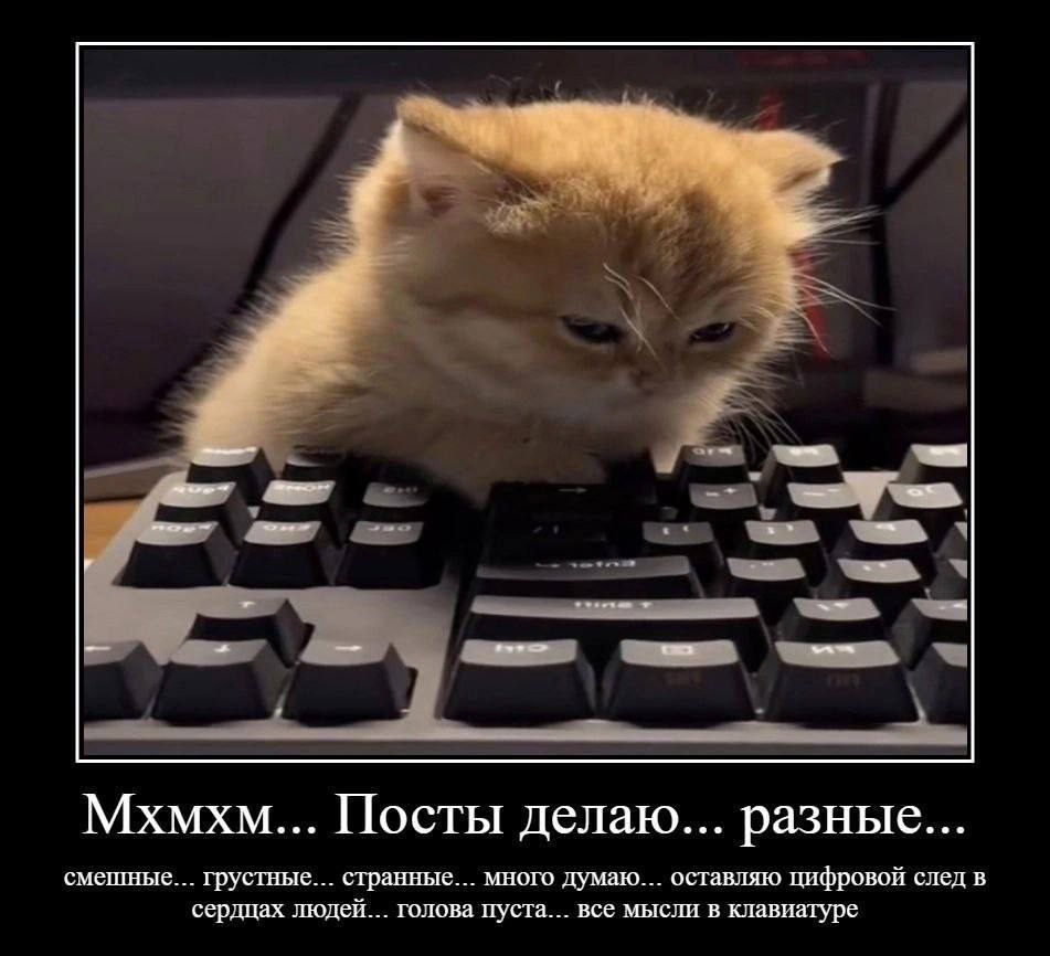 4 Мхмхм... Посты делаю... разные... смешные... грустные... странные... много думаю... оставляю цифровой след в сердцах людей... голова пуста... все мысли в клавиатуре