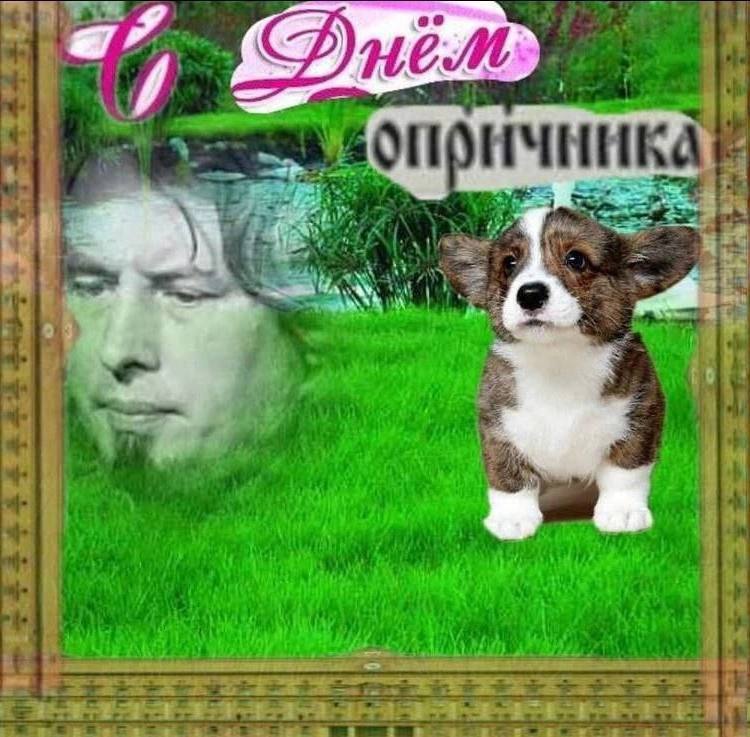 we