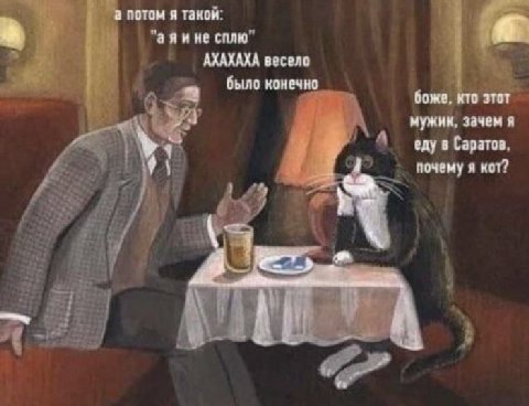 а потом я таком. сплю” АХАХАХА весело было конечно боже, кто этот мужик. зачем я еду в Саратов. почему я кот?