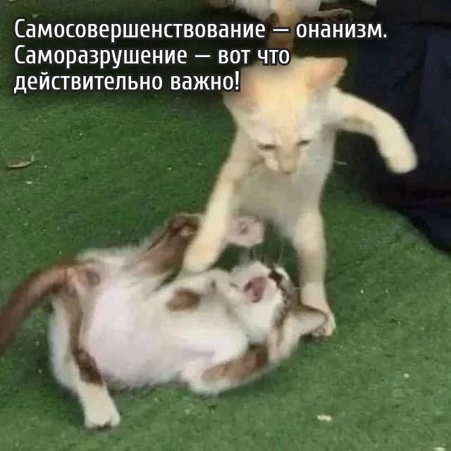 (Самосовершенствование онанизм Саморазрушение вот действительно важно! 9