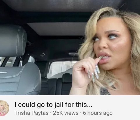 could to jail for this... Trisha Paytas views 6 hours ago