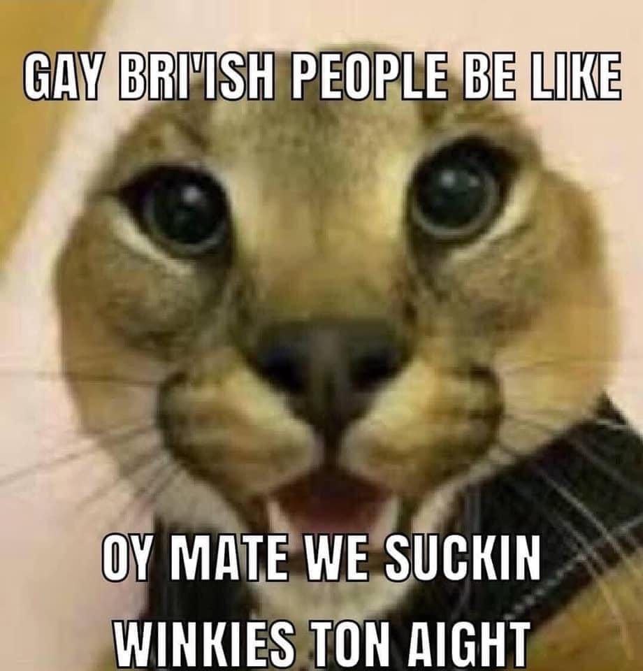 GAY, В "ISH PEOPLE BEWIKE MATE WE SUCKIN WINKIES TON AIGHT