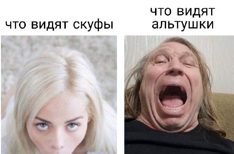 ЧТО ВИДЯТ что видят скуфы альтушки