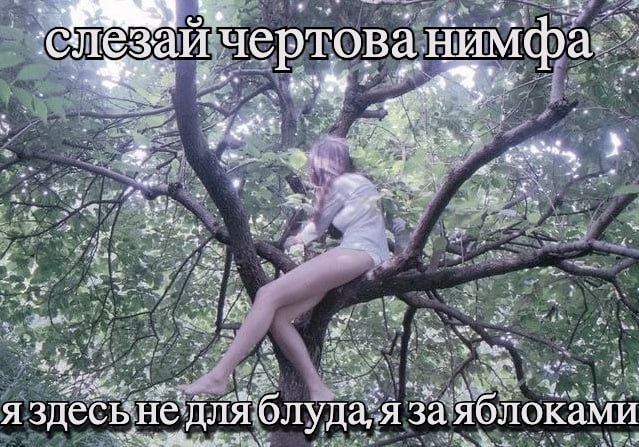 чертова, Нимфа 3 Yes 2% A здесь не длЯ блуда; Я заяблоками
