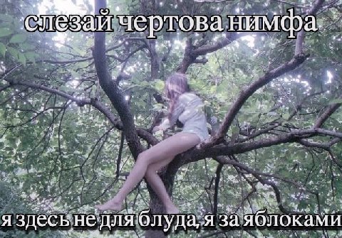 чертова, Нимфа 3 Yes 2% A здесь не длЯ блуда; Я заяблоками